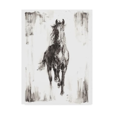 Ethan Harper 'Rustic Black Stallion I' Canvas Art,14x19